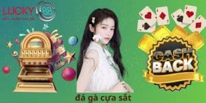 Đá gà cựa sắt